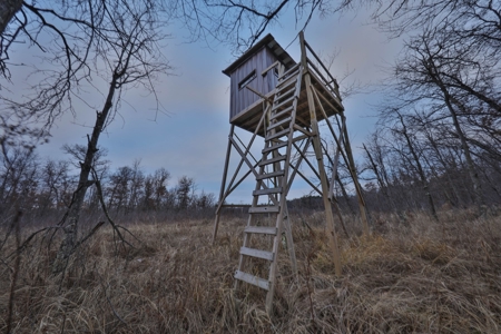 Hunting Land for Sale in Adams County, Wisconsin - image 18