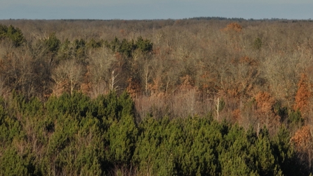 Hunting Land for Sale in Adams County, Wisconsin - image 16