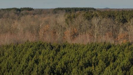 Hunting Land for Sale in Adams County, Wisconsin - image 35