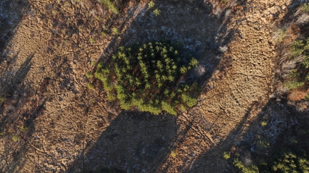 Hunting Land for Sale in Adams County, Wisconsin - image 32