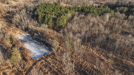 Hunting Land for Sale in Adams County, Wisconsin - image 7
