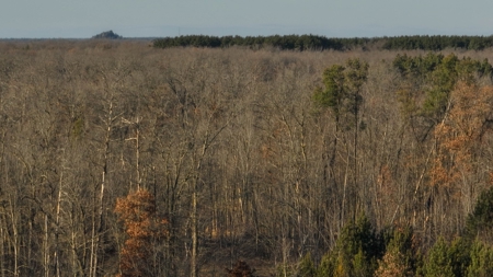 Hunting Land for Sale in Adams County, Wisconsin - image 34