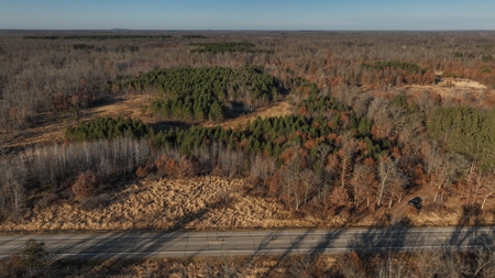 Hunting Land for Sale in Adams County, Wisconsin - image 11