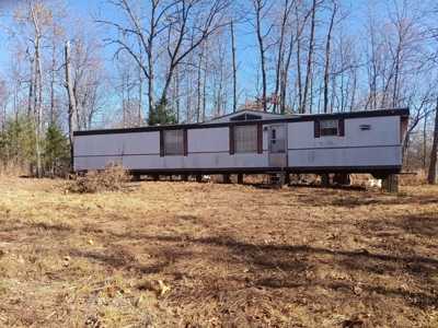 Country Home for Sale in Alton Missouri - image 11