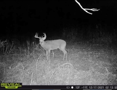 Charming Country Home with Trophy Whitetail Hunting in Junea - image 35