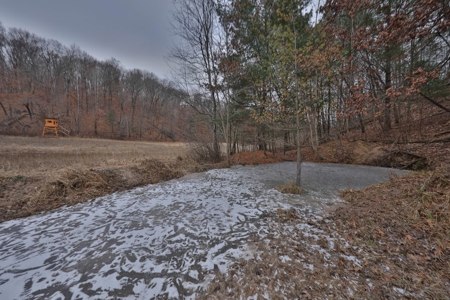 Charming Country Home with Trophy Whitetail Hunting in Junea - image 46