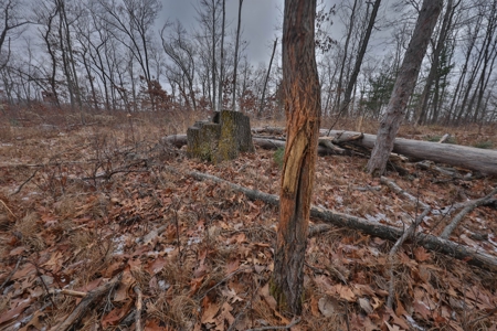 Charming Country Home with Trophy Whitetail Hunting in Junea - image 45