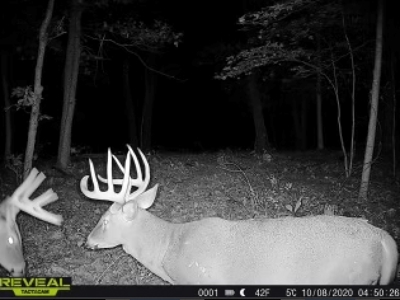 Charming Country Home with Trophy Whitetail Hunting in Junea - image 31