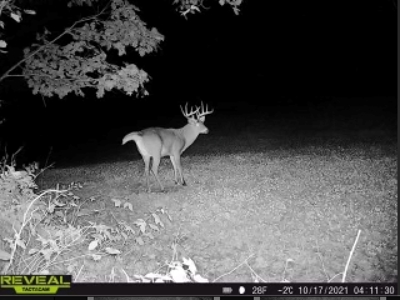 Charming Country Home with Trophy Whitetail Hunting in Junea - image 48