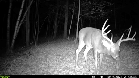 Charming Country Home with Trophy Whitetail Hunting in Junea - image 32