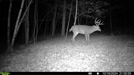 Charming Country Home with Trophy Whitetail Hunting in Junea - image 38