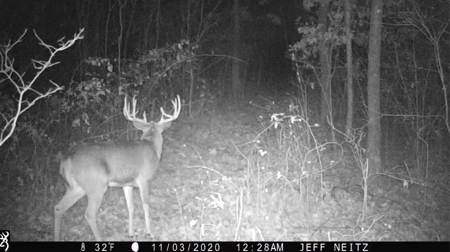 Charming Country Home with Trophy Whitetail Hunting in Junea - image 40