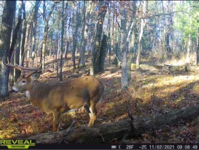Charming Country Home with Trophy Whitetail Hunting in Junea - image 34