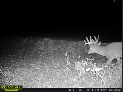 Charming Country Home with Trophy Whitetail Hunting in Junea - image 33