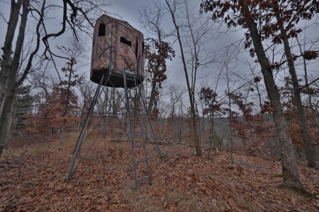 Charming Country Home with Trophy Whitetail Hunting in Junea - image 44