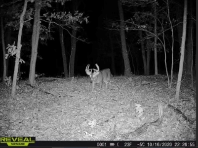 Charming Country Home with Trophy Whitetail Hunting in Junea - image 36