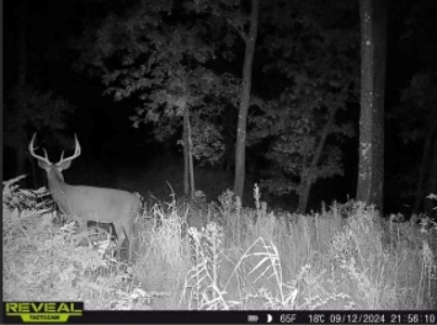 Charming Country Home with Trophy Whitetail Hunting in Junea - image 39