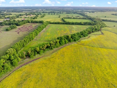Charming Country Home on 110 Acres in Roxton TX, Lamar Co TX - image 31