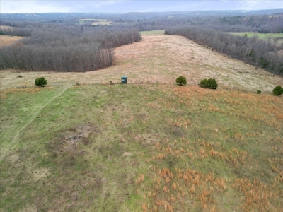 Horse or Cattle Ranch Land for Sale Southern Missouri Ozarks - image 17