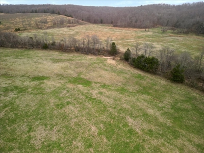 Horse or Cattle Ranch Land for Sale Southern Missouri Ozarks - image 21