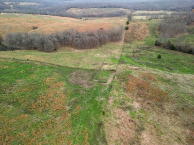 Horse or Cattle Ranch Land for Sale Southern Missouri Ozarks - image 35