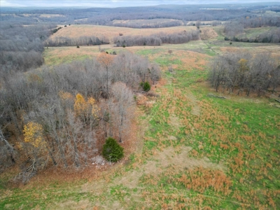 Horse or Cattle Ranch Land for Sale Southern Missouri Ozarks - image 25