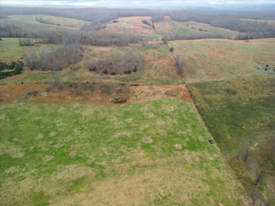 Horse or Cattle Ranch Land for Sale Southern Missouri Ozarks - image 10