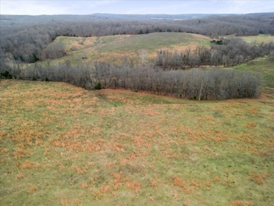 Horse or Cattle Ranch Land for Sale Southern Missouri Ozarks - image 36