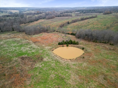 Horse or Cattle Ranch Land for Sale Southern Missouri Ozarks - image 19