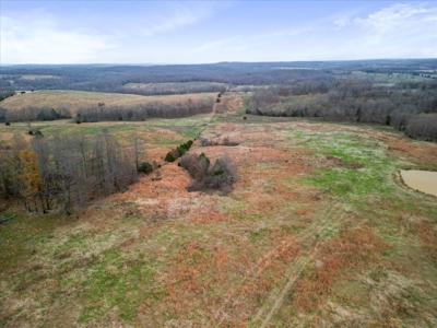 Horse or Cattle Ranch Land for Sale Southern Missouri Ozarks - image 28