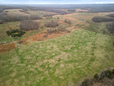 Horse or Cattle Ranch Land for Sale Southern Missouri Ozarks - image 31