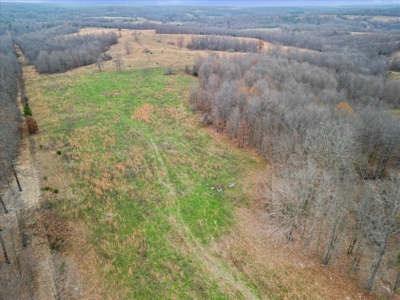 Horse or Cattle Ranch Land for Sale Southern Missouri Ozarks - image 14