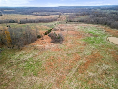 Horse or Cattle Ranch Land for Sale Southern Missouri Ozarks - image 20