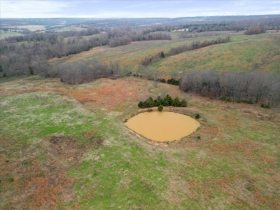 Horse or Cattle Ranch Land for Sale Southern Missouri Ozarks - image 22