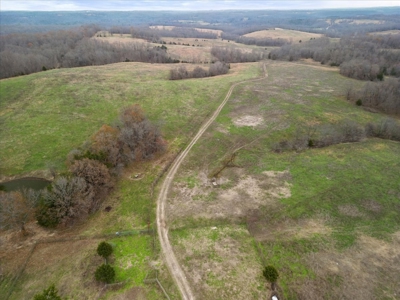 Horse or Cattle Ranch Land for Sale Southern Missouri Ozarks - image 7