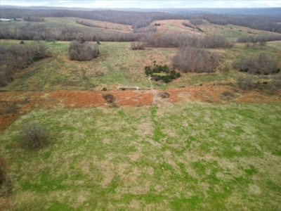 Horse or Cattle Ranch Land for Sale Southern Missouri Ozarks - image 30