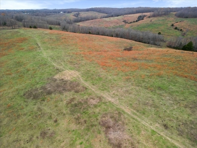 Horse or Cattle Ranch Land for Sale Southern Missouri Ozarks - image 27