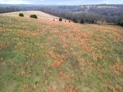 Horse or Cattle Ranch Land for Sale Southern Missouri Ozarks - image 26