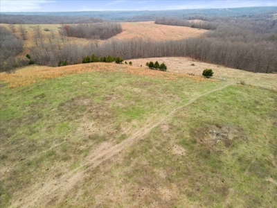 Horse or Cattle Ranch Land for Sale Southern Missouri Ozarks - image 12