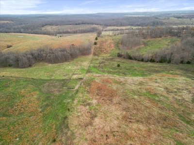 Horse or Cattle Ranch Land for Sale Southern Missouri Ozarks - image 23