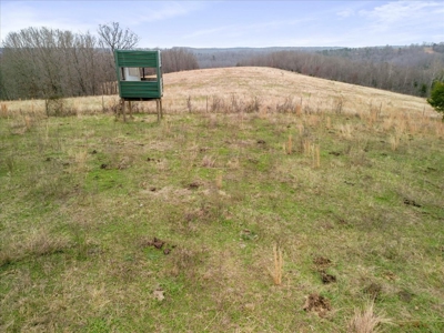 Horse or Cattle Ranch Land for Sale Southern Missouri Ozarks - image 29