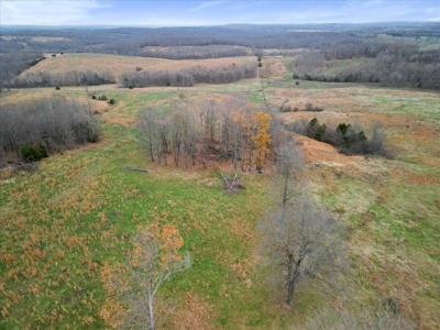 Horse or Cattle Ranch Land for Sale Southern Missouri Ozarks - image 13