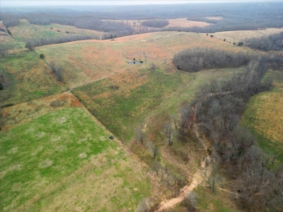 Horse or Cattle Ranch Land for Sale Southern Missouri Ozarks - image 8