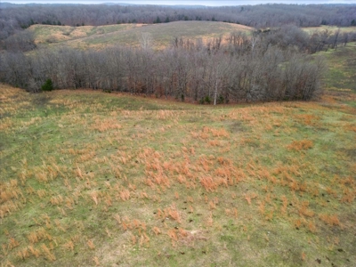 Horse or Cattle Ranch Land for Sale Southern Missouri Ozarks - image 24