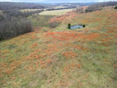 Horse or Cattle Ranch Land for Sale Southern Missouri Ozarks - image 16