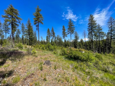 Diamond Lake Large Acreage Parcel in Newport, WA - image 29