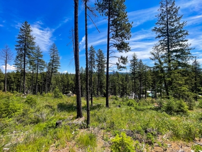 Diamond Lake Large Acreage Parcel in Newport, WA - image 28
