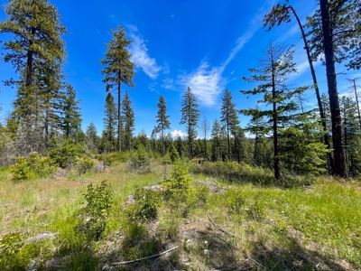 Diamond Lake Large Acreage Parcel in Newport, WA - image 27