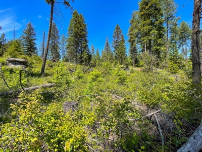 Diamond Lake Large Acreage Parcel in Newport, WA - image 20