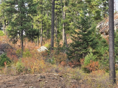 Diamond Lake Large Acreage Parcel in Newport, WA - image 1